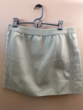 NWT Ivy Park Skirt